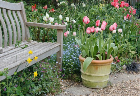 <b> Gardening: </b> Things to do in November <b> Gardening: </b> Things to do in November