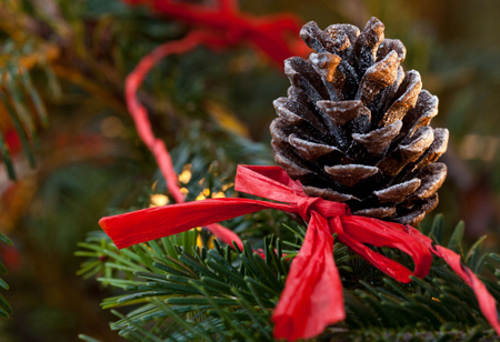 <b> Outdoors: </b> Glam up your garden with a seasonal makeover <b> Outdoors: </b> Glam up your garden with a seasonal makeover