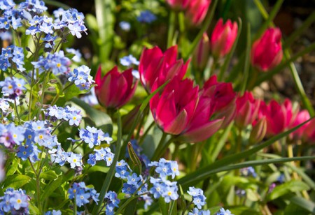 <b> Outdoors: </b> Give your garden an April makeover <b> Outdoors: </b> Give your garden an April makeover