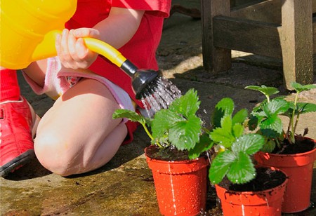 <b> Spring garden ideas: </b> Plant delicious strawberries with your little ones <b> Spring garden ideas: </b> Plant delicious strawberries with your little ones