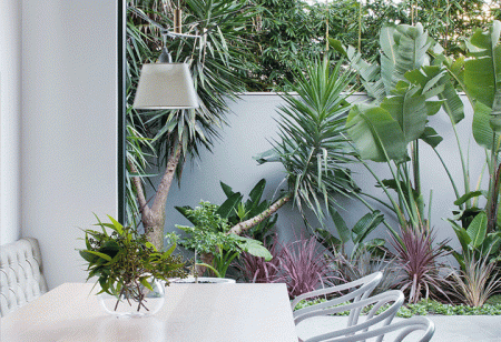Get the Look: Dining in the tropics Get the Look: Dining in the tropics